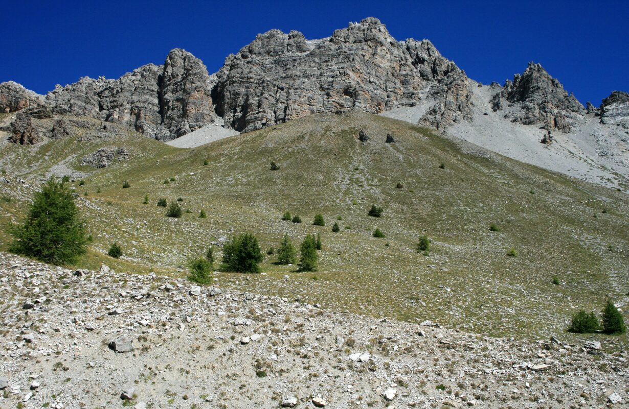 IMG_0613.jpg
