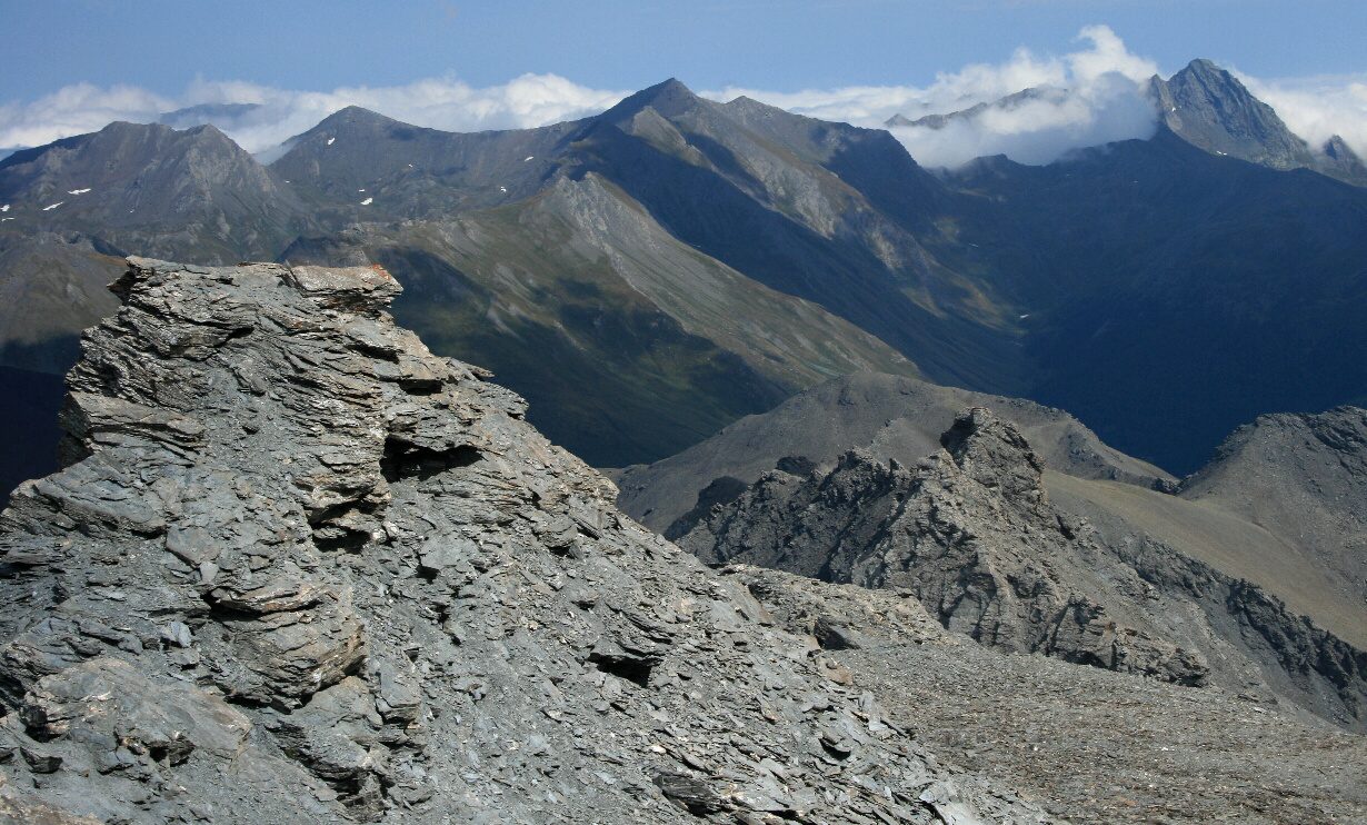 IMG_0854.jpg