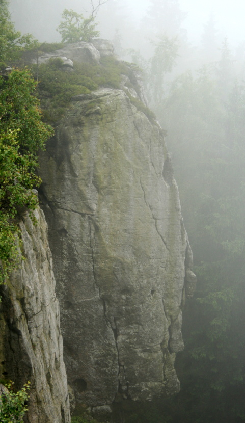 IMG_9926.JPG