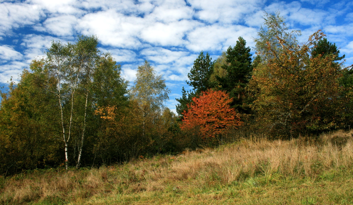 IMG_5063.JPG