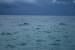 IMG_4572.JPG