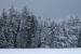 IMG_0479.jpg
