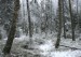 IMG_0464.JPG